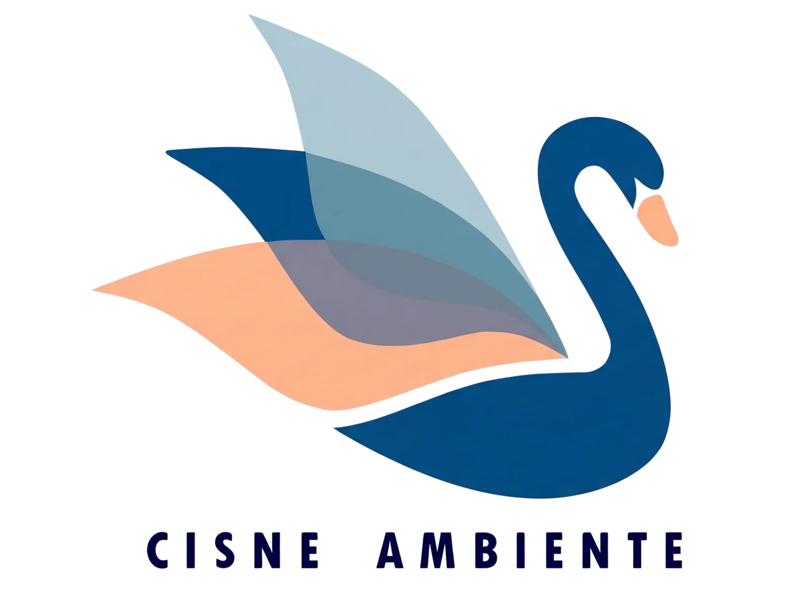 Cliente 15