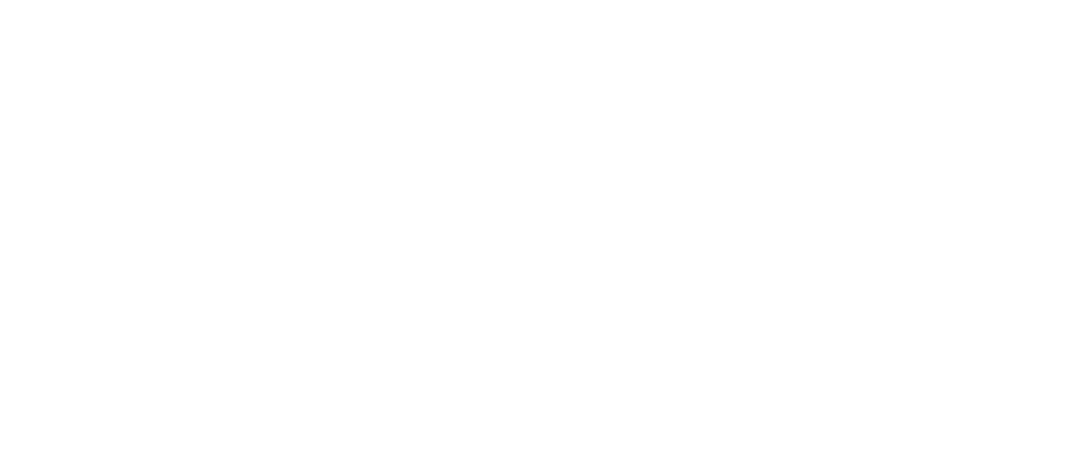 Meta Business Partner